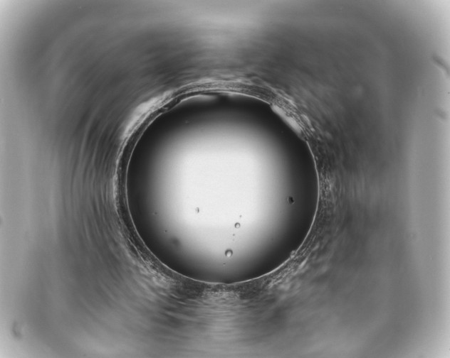 X0000094360340200711021514