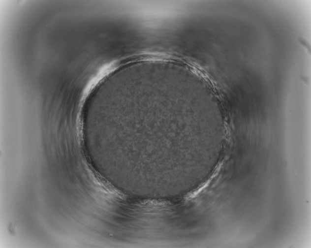 X0000094360343200711021514