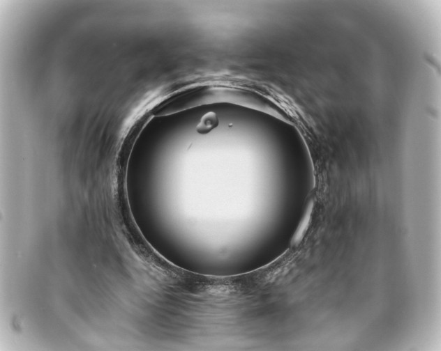 X0000094360344200711021514