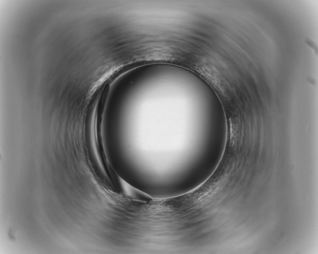 X0000094360348200711021514
