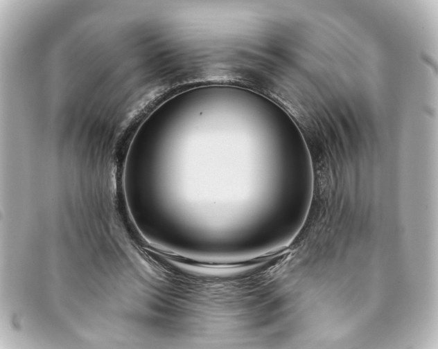X0000094360350200711021514