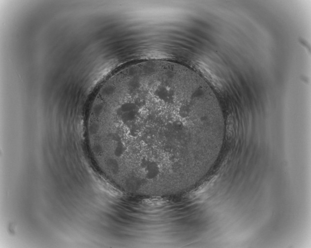 X0000094360351200711021514