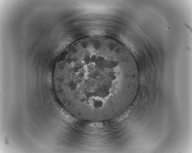 X0000094360353200711021514