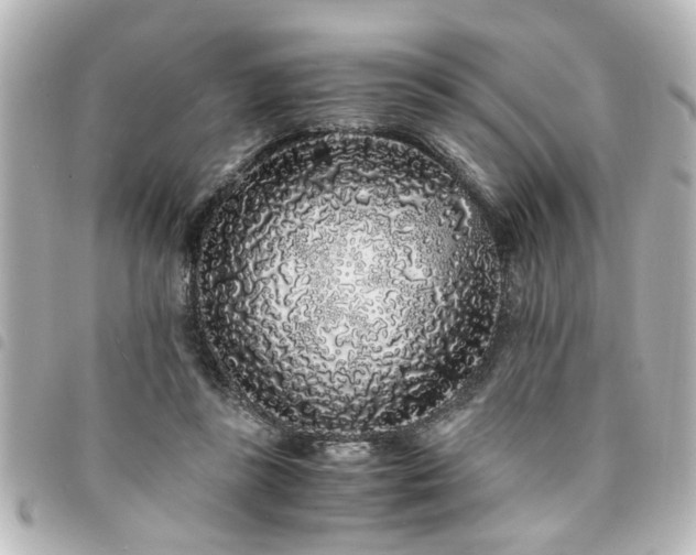 X0000094360355200711021514