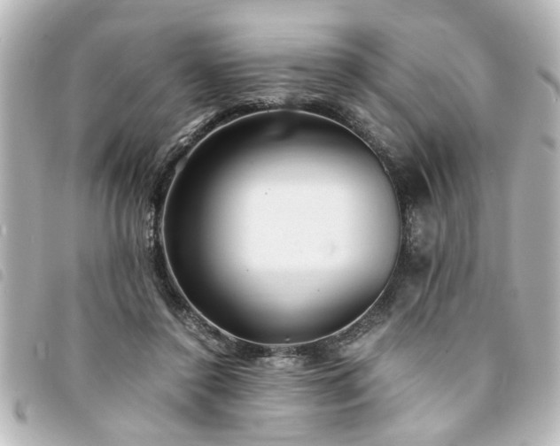 X0000094360356200711021514