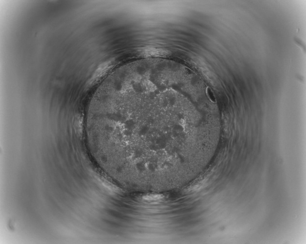 X0000094360357200711021514