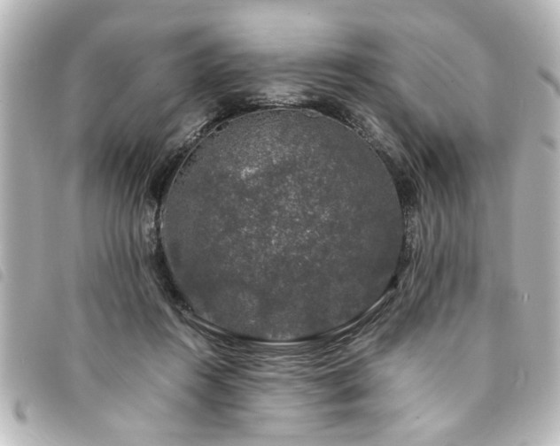 X0000094360360200711021514