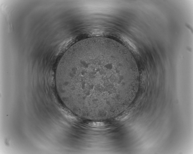 X0000094360361200711021514