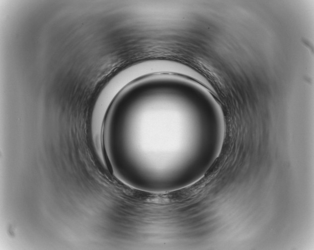 X0000094360362200711021514