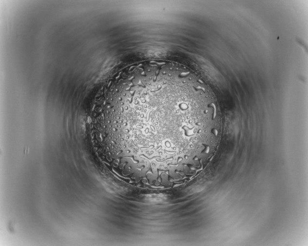 X0000094360363200711021514