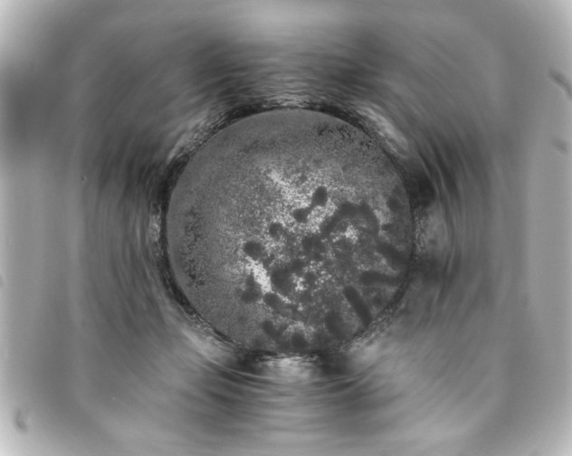 X0000094360365200711021514