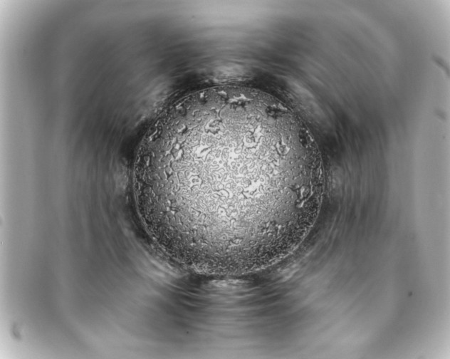 X0000094360367200711021514