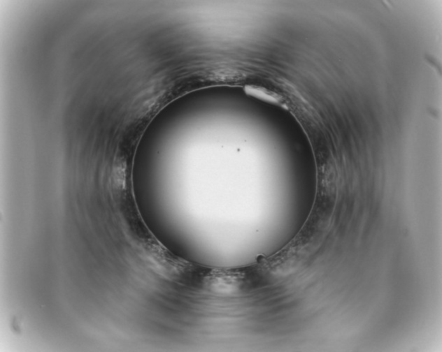 X0000094360368200711021514