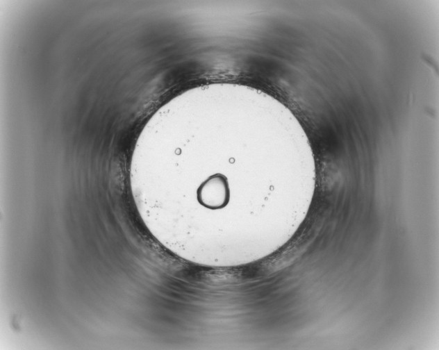 X0000094360370200711021514