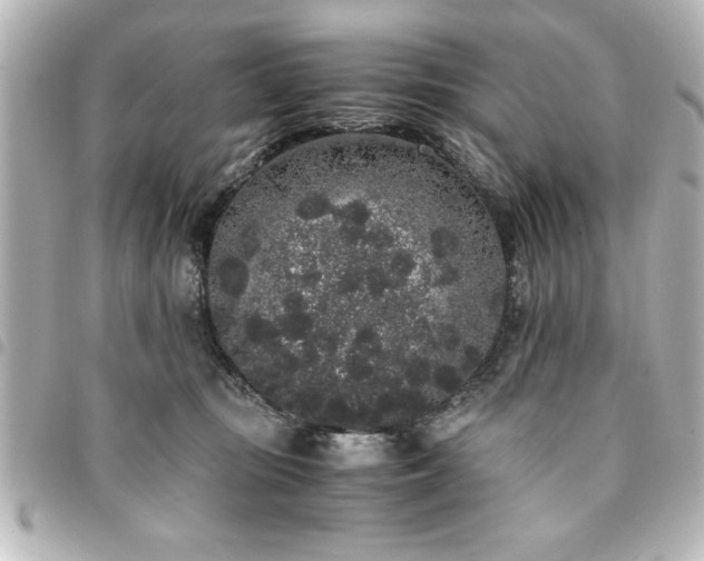X0000094360371200711021514