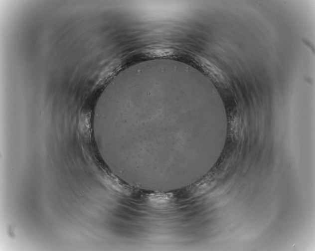 X0000094360373200711021514