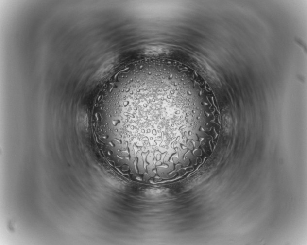 X0000094360375200711021514