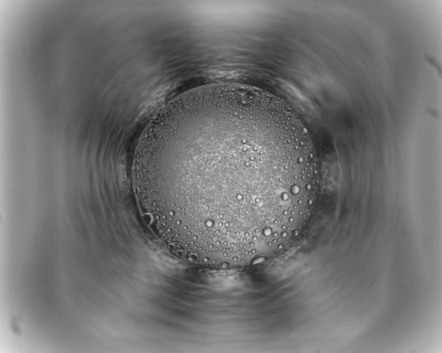 X0000094360377200711021514