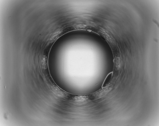 X0000094360378200711021514