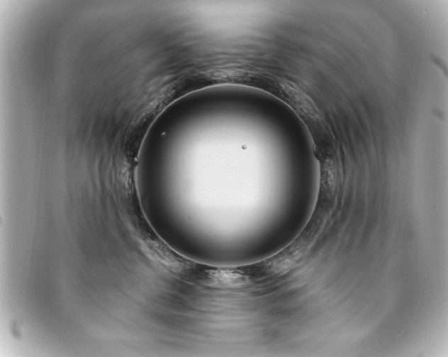 X0000094360380200711021514