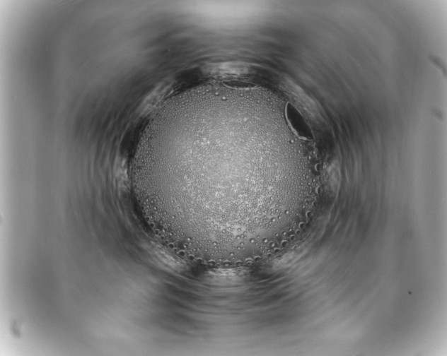 X0000094360381200711021514