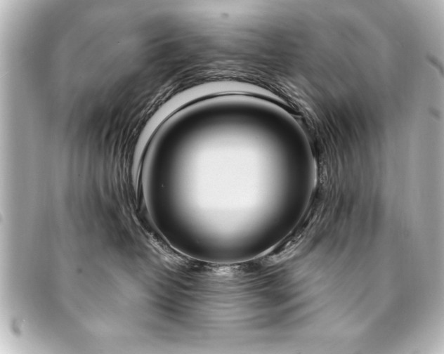 X0000094360382200711021514