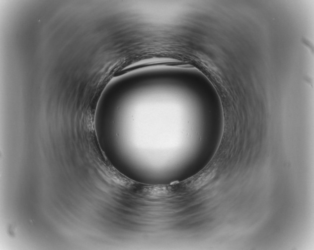 X0000094360384200711021514