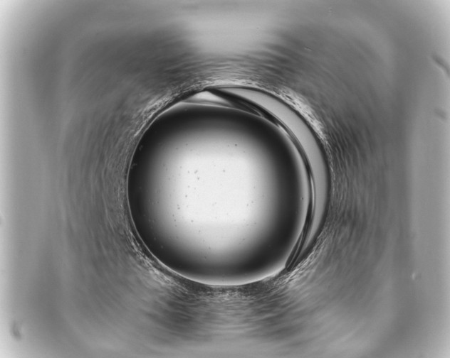 X0000094360385200711021514
