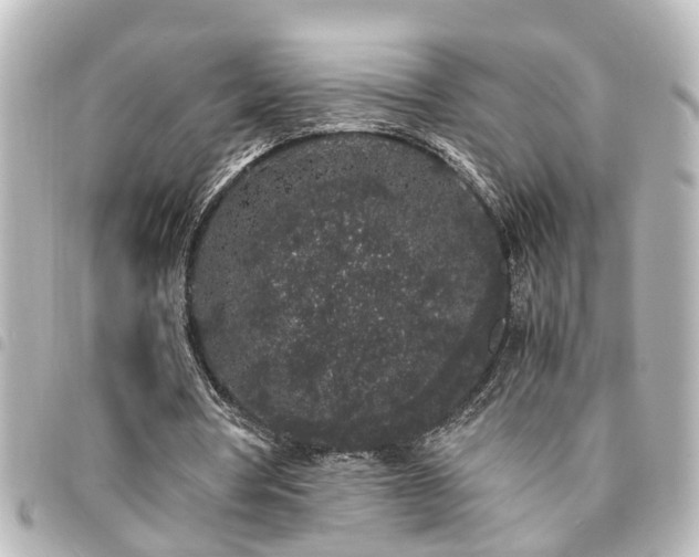 X0000094360386200711021514