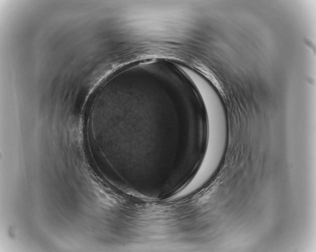 X0000094360387200711021514