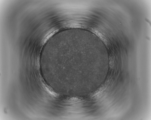 X0000094360390200711021514