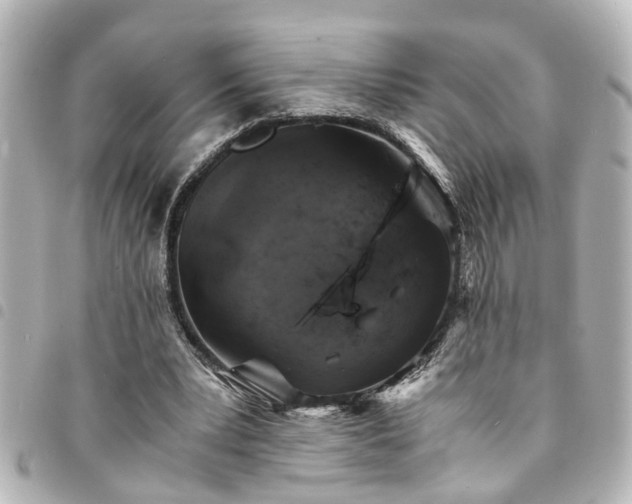 X0000094360391200711021514