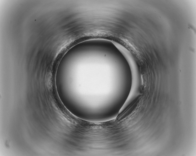 X0000094360392200711021514