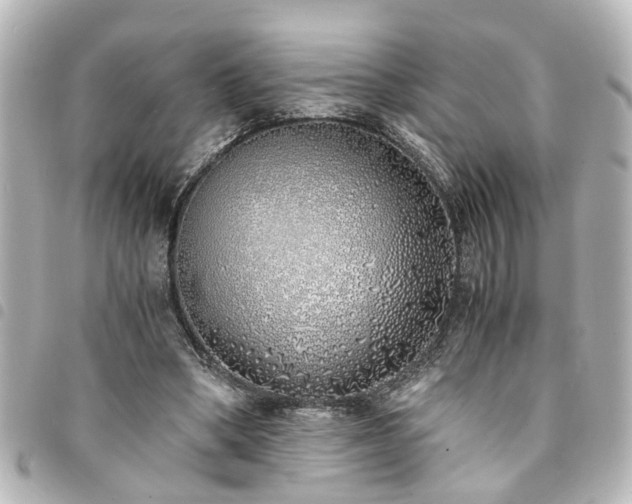 X0000094360394200711021514