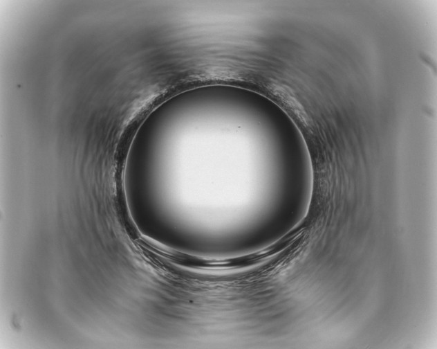 X0000094360395200711021514