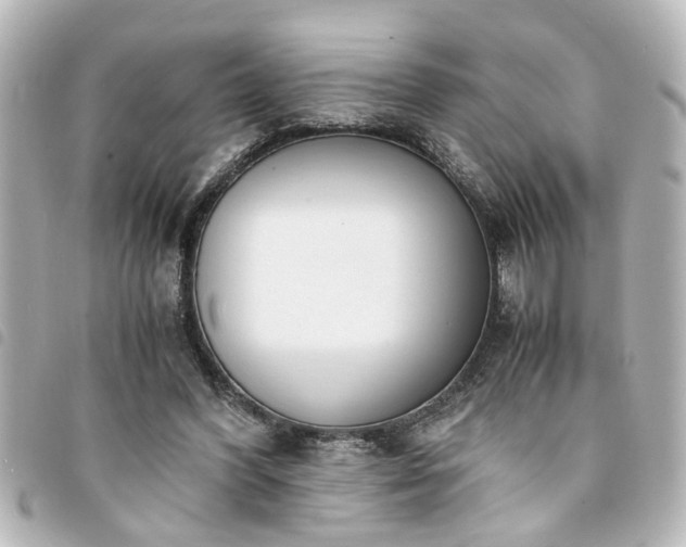 X0000094360396200711021514