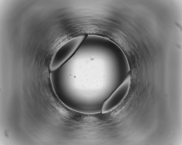 X0000094360397200711021514