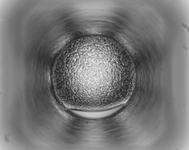 X0000094360398200711021514