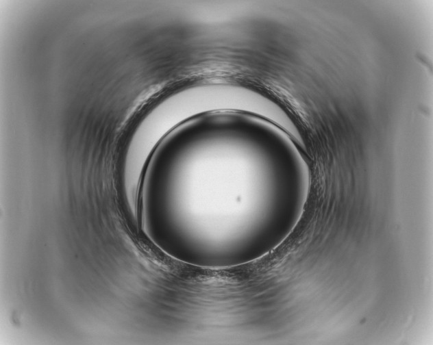 X0000094360400200711021514