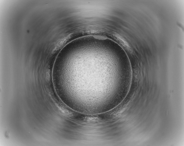 X0000094360401200711021514