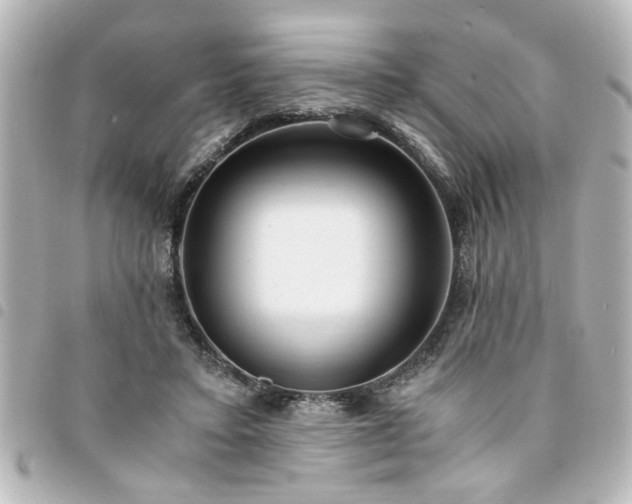 X0000094360403200711021513