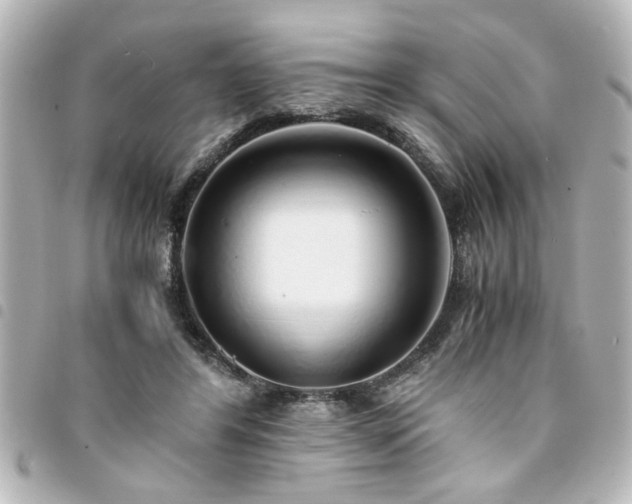 X0000094360404200711021513