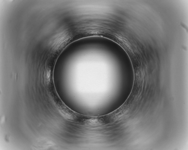X0000094360406200711021513