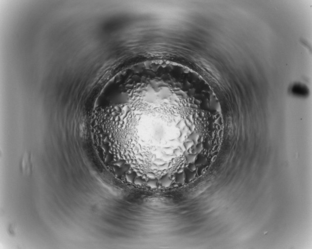 X0000094360408200711021513