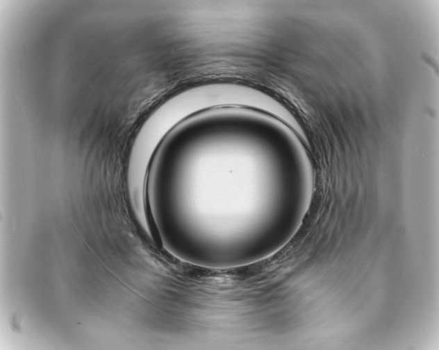 X0000094360411200711021513