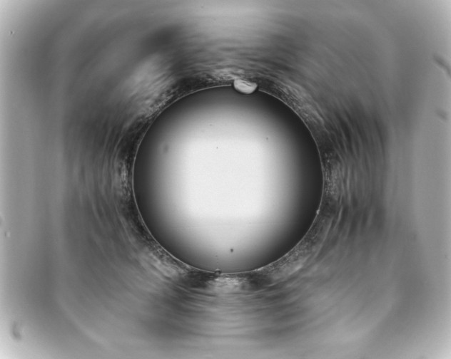 X0000094360418200711021513