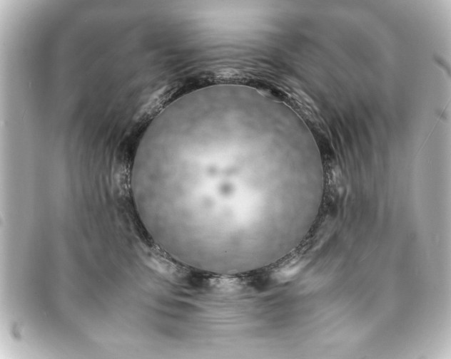 X0000094360419200711021513