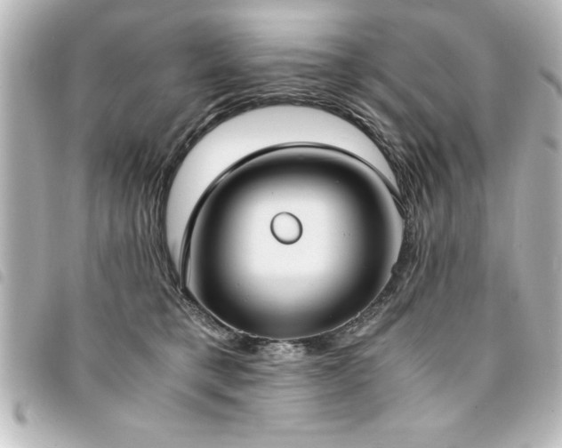 X0000094360421200711021513