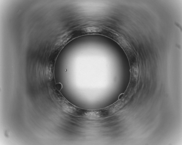 X0000094360422200711021513