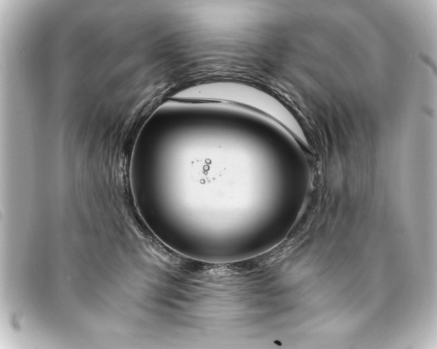 X0000094360423200711021513
